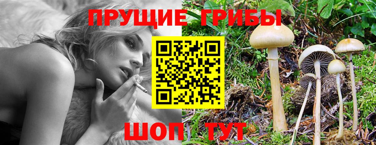 Магнитогорск  Галлюциногенные грибы MAGIC MUSHROOMS  магазин продажи   Вход с VPN  Галлюциногенные грибы ЛСД 